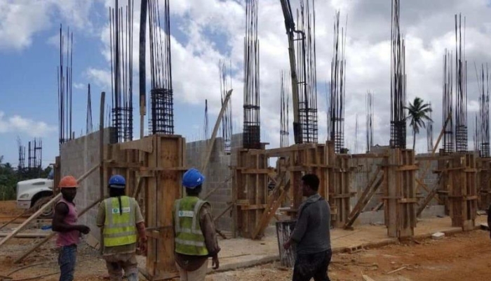 El Rol de la Mano de Obra Haitiana en el Sector de Construcción