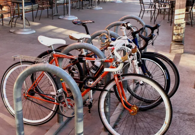 Día Mundial de la Bicicleta un pedaleo por la salud y el planeta